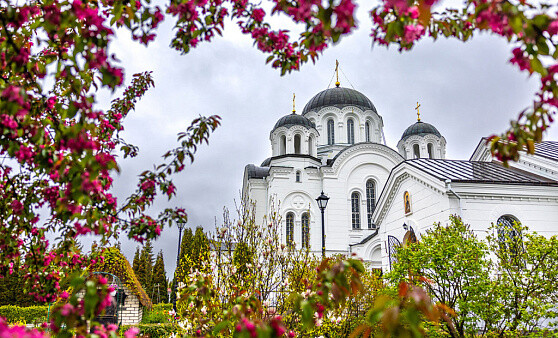 ВЕЛИКОЛЕПНЫЙ ПОЛОЦК