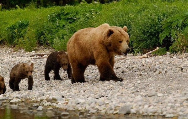 ЗАПОВЕДНАЯ БЕЛАРУСЬ